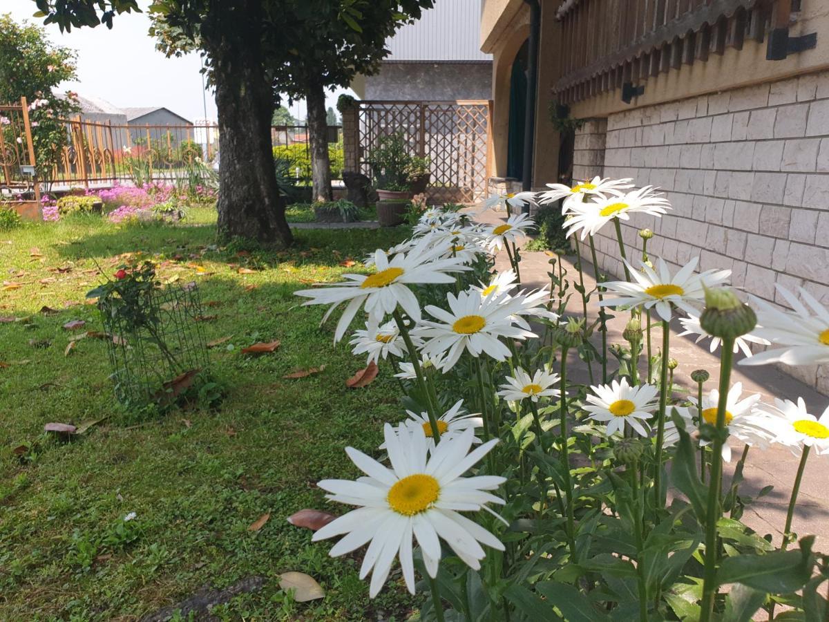 B&B Family Home Soresina Екстер'єр фото