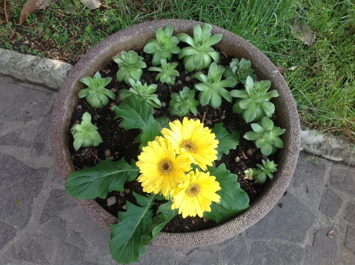 B&B Family Home Soresina Екстер'єр фото